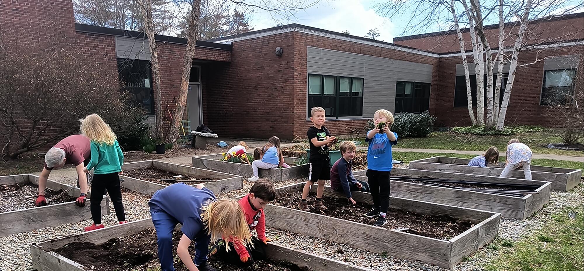 Kindergarten students gardening in small garden beds, Getting them ready for spring planting.