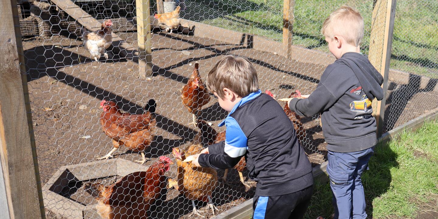 Two preschool students feeding chicken at Emery Farm on a sunny October day.
